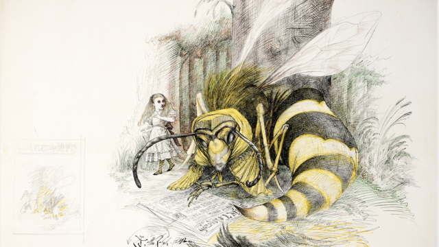 "Alice and the Wasp", Ralph Steadman, 1971