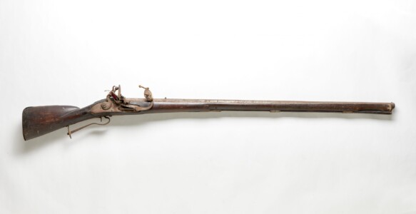 Fusil de rempart © MNHA Tom Lucas