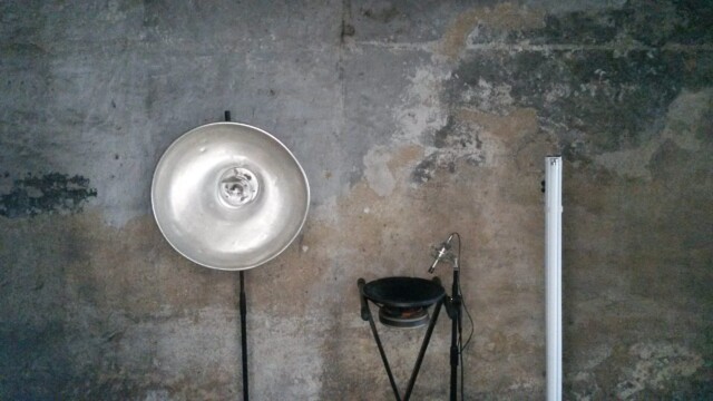 Transverses : Buzz&Bulbs