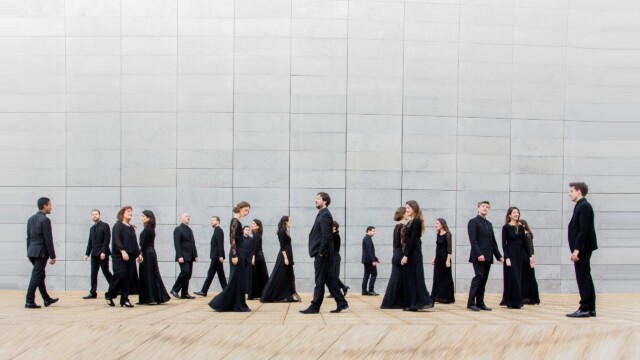 Transverses : Métaboles © Elsa Laurent