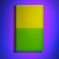 Regine Schumann : Color Pastel Yellow Belt Cologne (2018)