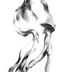 Haleh Zahedi : Aus der Serie Surplis I