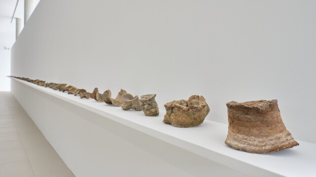 Elvia Teotski © Steeve Constanty