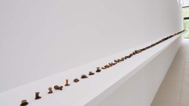 Elvia Teotsk i© Steeve Constanty