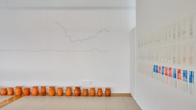 EthnoGraphic © Steeve Constanty