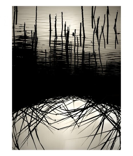 Transformation © Andrea Christl Andrea Christl