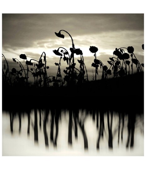 Soulscapes © Andrea Christl Andrea Christl