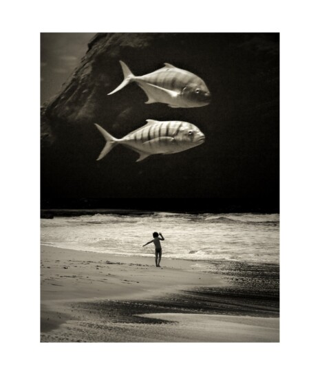 The ever living ones © Andrea Christl Andrea Christl