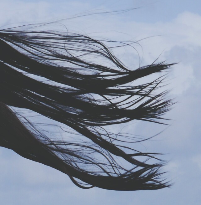 Ombre indigène, part 2, Martinique, Edith Dekyndt
© Edith Dekyndt & courtesy Argos centre for audiovisual
arts © VG Bild-Kunst, Bonn 2024 ZKM Karlsruhe