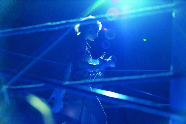 Requin Velours © Teona Goreci