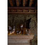 Different Media Productions (plats Gerichte) & Marie-Pierre Morel