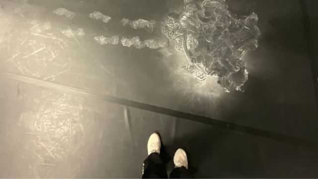 GUEST © Michael Vieira