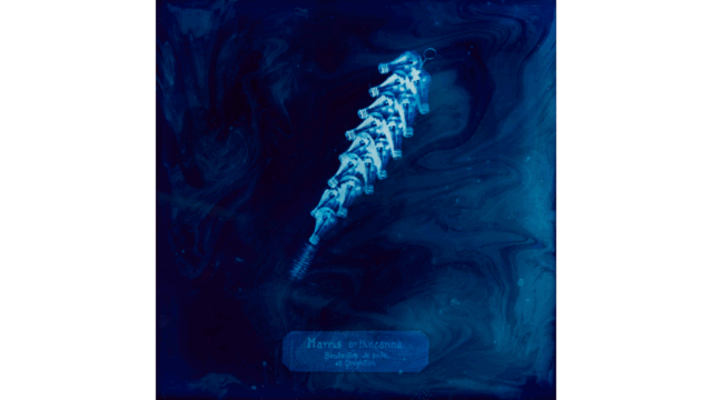 Manon Lanjouère - Les particules le conte humain d'une eau qui meurt 2022, ADAGP, Paris, 2024