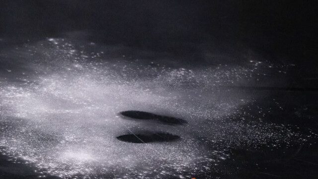 GUEST © Michael Vieira