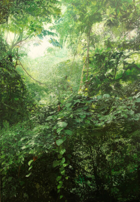 Stephan Kaluza, Transit 81 (2), 2022