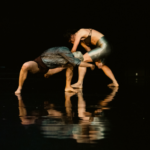 Nomadics © Danny Willems