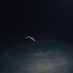 Julian Charrière - Where Waters Meet