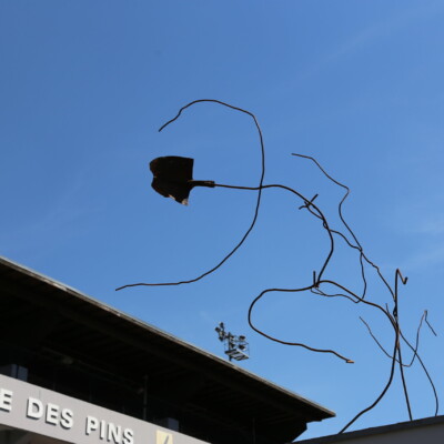 Daniel Depoutot, Biennale © Ville Bischwiller