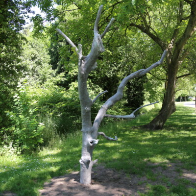 Gaëtan Gromer, Biennale 2025 © Ville Bischwiller