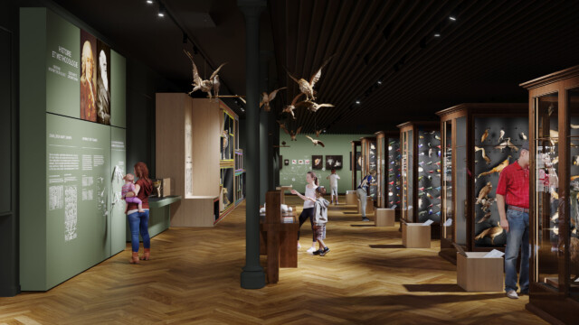 Parcours du musée rénové : la galerie des oiseaux © Oneblock.city pour dUCKs Sceno / Freaks
