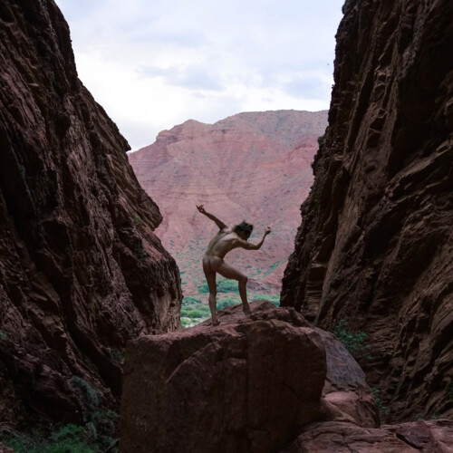 Ultimo helecho, Garganta del diablo 3 © Nina Laisné