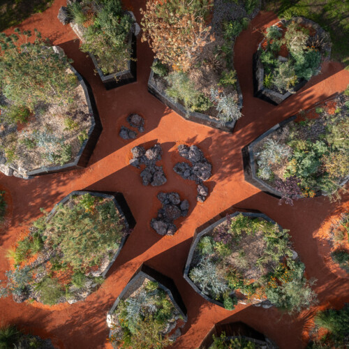 Jardins des Songes, jardin de la paix franco-australien, Amiens, 2024
Crédit : ©Yann Monel