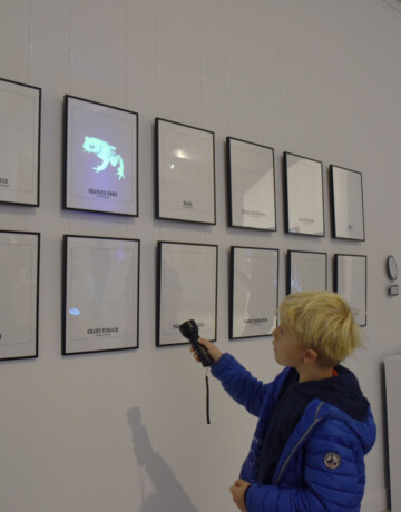 France Cadet, Galerie d'espèces disparues, 2019, Ausstellungsansicht, Foto: Luce Moreau