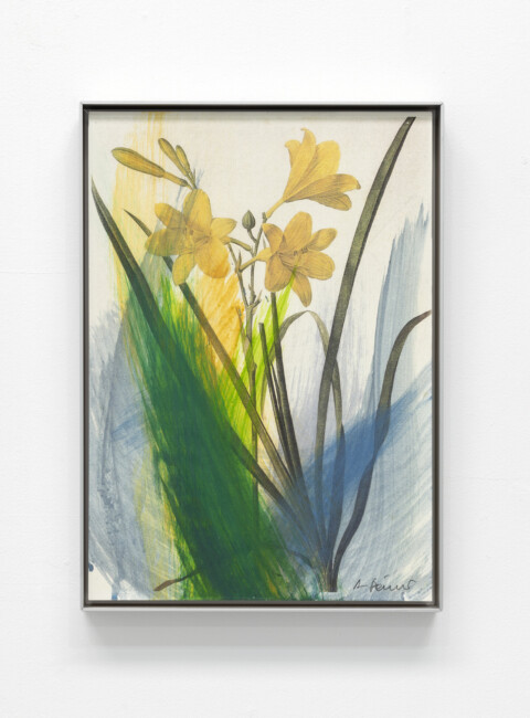 Arnulf Rainer, Blumen, c.2000, Technique mixte sur papier monté sur bois, 45x32cm, © Arnulf Rainer / Courtesy Galerie Lelong