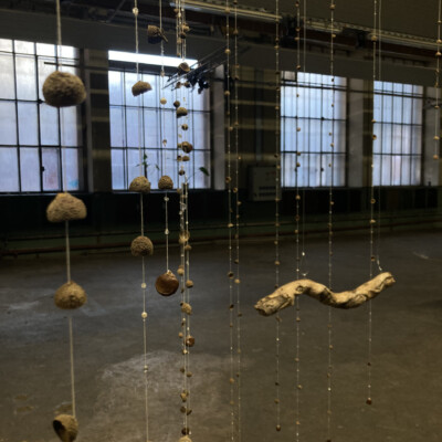 (c) Juliette Dignat - Priere sylvestre - 2025