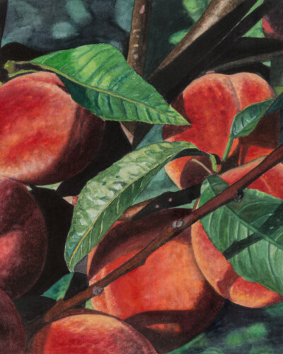 Karin Kneffel, Pfirsiche, 1994 © VG Bild-Kunst, Bonn 2025