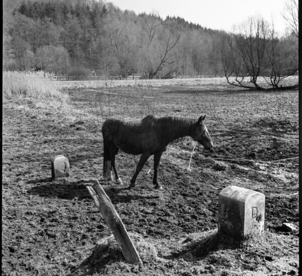 Borne frontalière Grenzsteine © Andreas Dorn