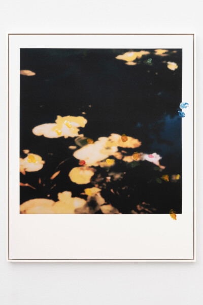 François Halard
GIVERNY
2025
Fine Art Print, Pigmenttinte auf Papier und Farbe
134 x 110 cm
© Courtesy Ruttkowski;68
