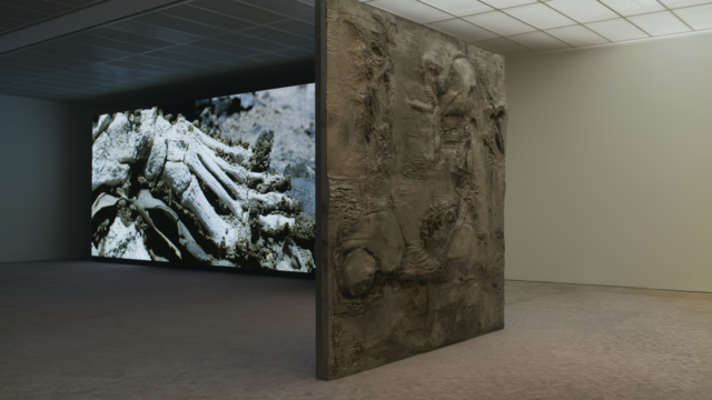 Fondation Beyeler - Pierre Huyghe