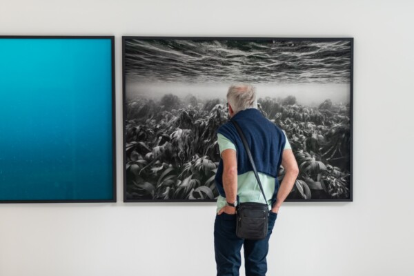 Nicolas Floc'h, Paysages productifs - Initium Maris, île de Molène, laminaires, 2019 © ADAGP, Paris, 2026 © Vincent Schneider