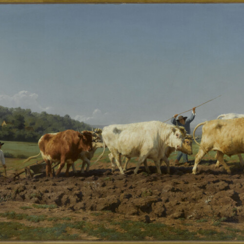 Rosa Bonheur, Labourage Nivernais. © RMN-Grand Palais (Musée d’Orsay) / René-Gabriel Ojéda