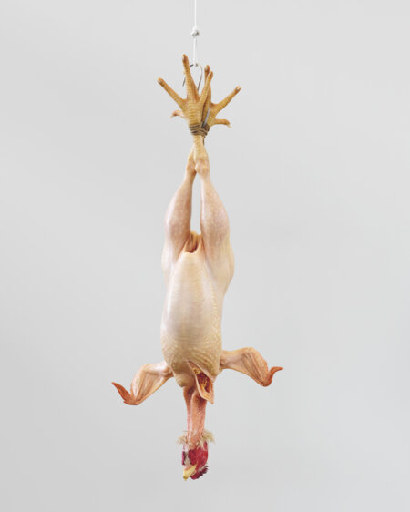 Ron Mueck, Still Life, 2010. Courtesy Thaddaeus Ropac gallery, London · Paris · Salzburg · Milan · Seoul.
© Ron Mueck / Photo : Eva Herzog
