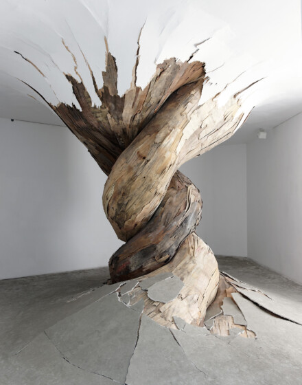 Henrique Oliveira
Desnatureza, 2011
Galerie Vallois, Paris
Foto: Aurélien Mole