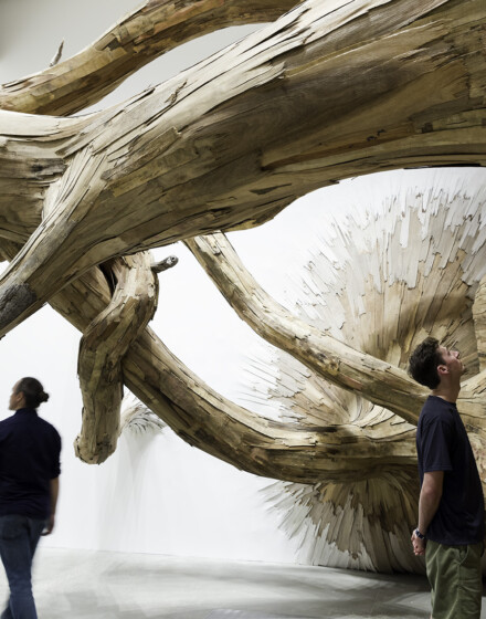 Henrique Oliveira
Corupira (Detail), 2023
Gallery of Modern Art (GOMA) Brisbane
Foto: C Callistemon, QAGOMA