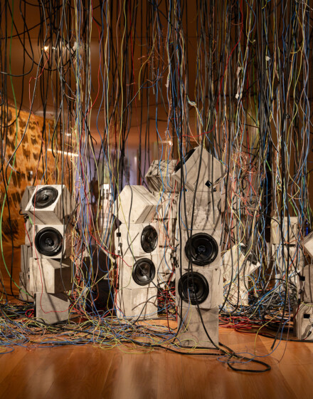 Vivian Caccuri
Gatonet-Mor, 2024
Galeria Municipal do Porto
© Courtesy Vivian Caccuri Studio
Foto: Dinis Santos