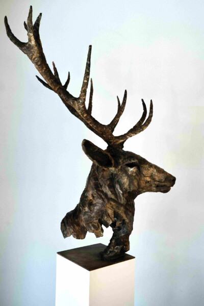 Olivia Lambin, Buste de cerf, 2026
