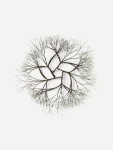 Untitled (S.238, Wall-Mounted Tied- Wire, Open-Center, Five-Petaled Form Based on Nature), du milieu à la fin des années 1970 © 2026 Ruth Asawa Lanier, Inc., courtesy David Zwirner
Photo: Laurence Cuneo